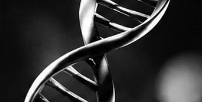DNA double helix